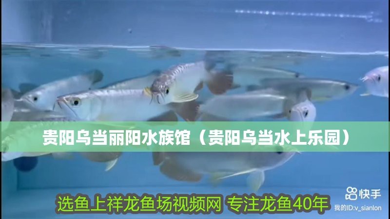 貴州水族店【多彩貴州城極地海洋世界】