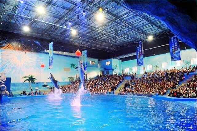 荊州水族店【荊州小梅沙海洋館揭幕啦,帶您暢游2萬(wàn)平米海底世界!】