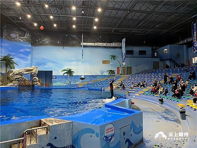荊州水族店【荊州小梅沙海洋館揭幕啦,帶您暢游2萬(wàn)平米海底世界!】