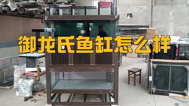 龍魚缸選哪個牌子好【京東龍魚缸水族箱品牌排行榜京東龍魚缸品牌排行榜】