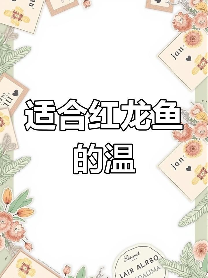 高背紅龍魚的最佳飼養環境【紅龍魚飼養環境全攻略】