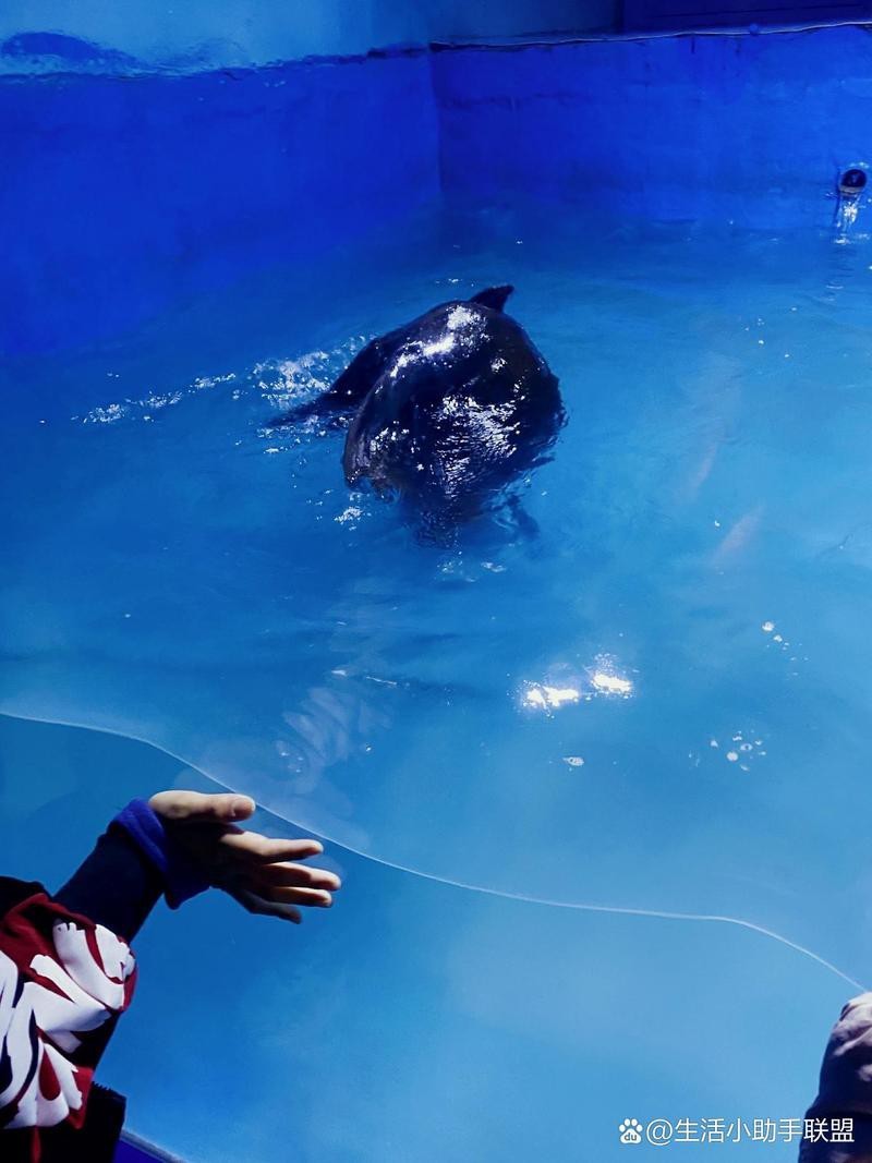 鄲城水族店【**鄲城水族店萬洋水族館】