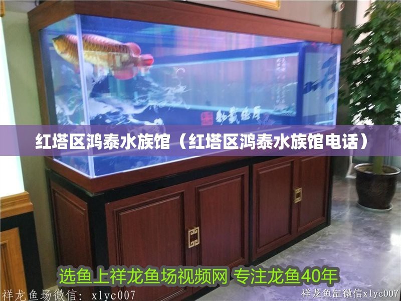 紅河州水族店【紅河州有哪些水族店】