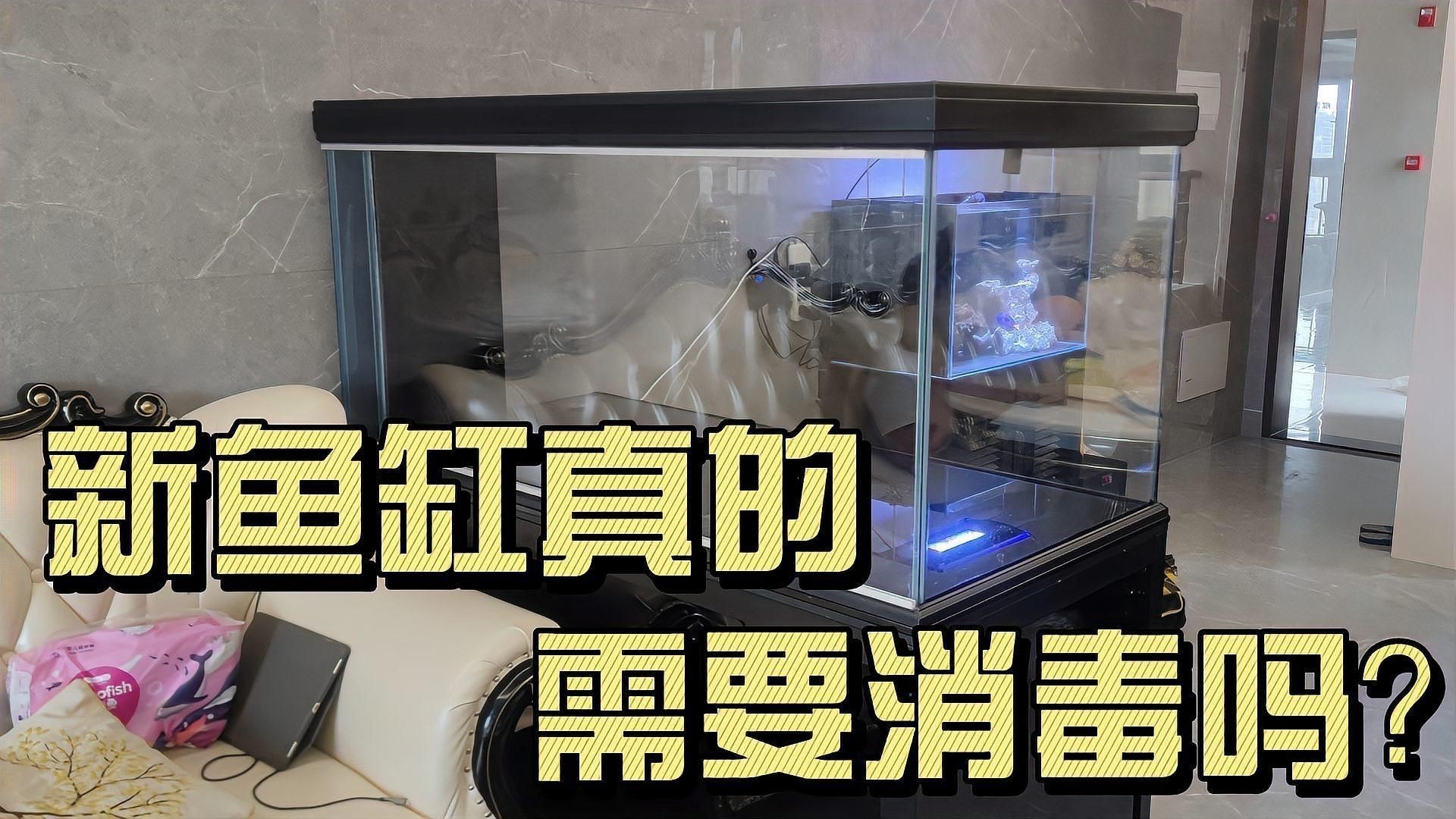 如何判斷魚(yú)缸是否需要消毒？【新魚(yú)缸真的需要消毒嗎什么情況下魚(yú)缸必須要消毒嗎】