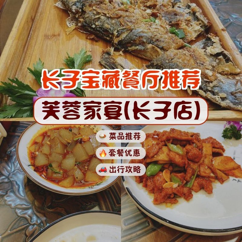 長子龍魚店【廣州長子龍魚店】