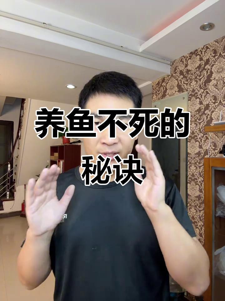 如何預防龍魚突然死亡？【龍魚突然死亡可能由多種因素導致，以下是一些預防措施】