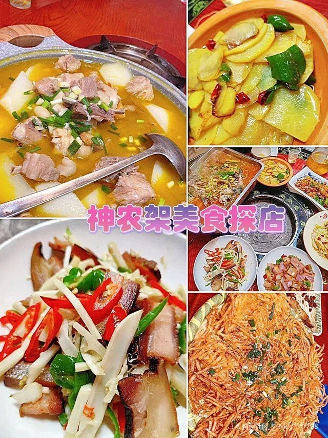 神農(nóng)架龍魚店【神農(nóng)架龍魚店有包廂嗎】