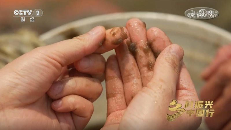 雷州龍魚店【雷州有龍魚專賣店嗎】