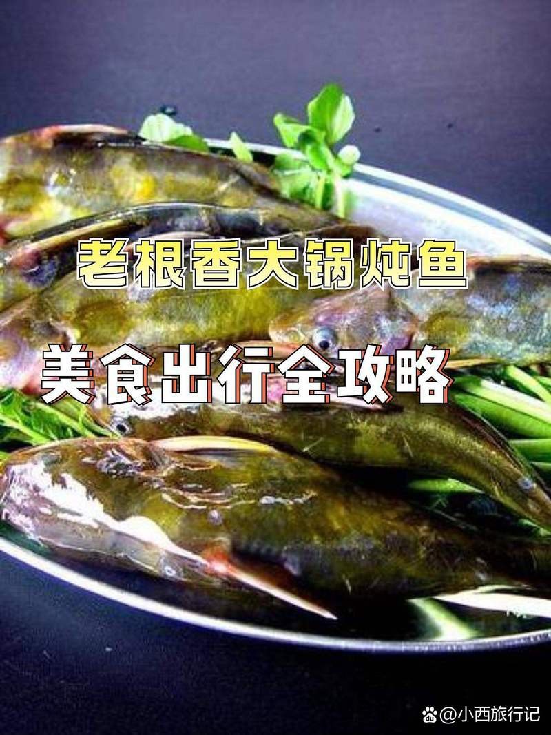 靜海龍魚店【天龍水族館的營業(yè)時(shí)間是靜海龍魚店哪家口碑最好】 靜海龍魚店【天龍水族館的營業(yè)時(shí)間是靜海龍魚店哪家口碑最好】 全國水族館企業(yè)名錄 第2張