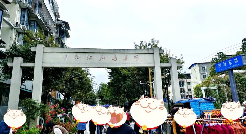<strong><mark>青白江</mark></strong>水族店【<strong><mark>青白江</mark></strong>區水族店怎么樣】