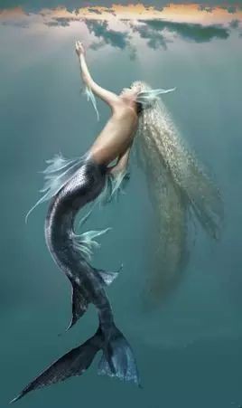美人魚仙女【《美人魚仙女》*長發(fā)公主驚艷全場團(tuán)子只小藍(lán)胖】