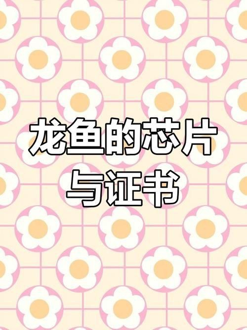 龍魚的芯片在哪個位置示意圖【龍巔龍魚芯片植入位置示意圖，龍魚芯片植入位置示意圖】