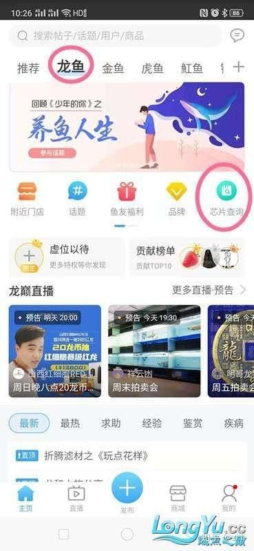 龍魚的芯片在哪個位置示意圖【龍巔龍魚芯片植入位置示意圖，龍魚芯片植入位置示意圖】