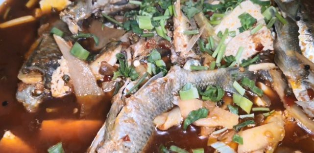 青川龍魚店【青川龍魚店——獨特水族世界的奇妙角落】