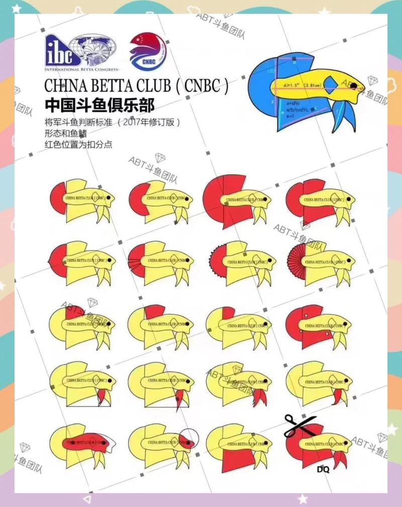 斗魚賽級標(biāo)準(zhǔn)有哪些【泰國斗魚的賽級標(biāo)準(zhǔn)】