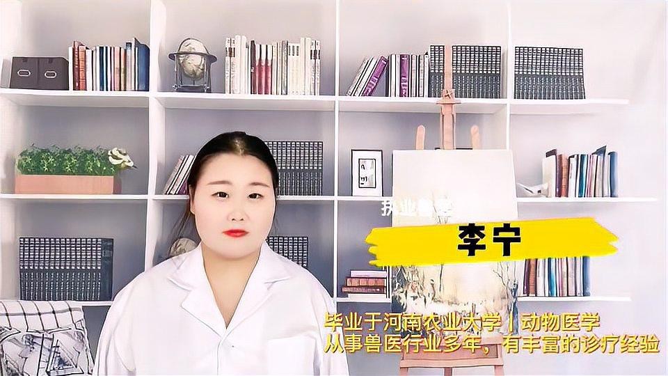 如何判斷龍貓是否準(zhǔn)備排便？【判斷龍貓是否準(zhǔn)備排便可從多方面觀察】