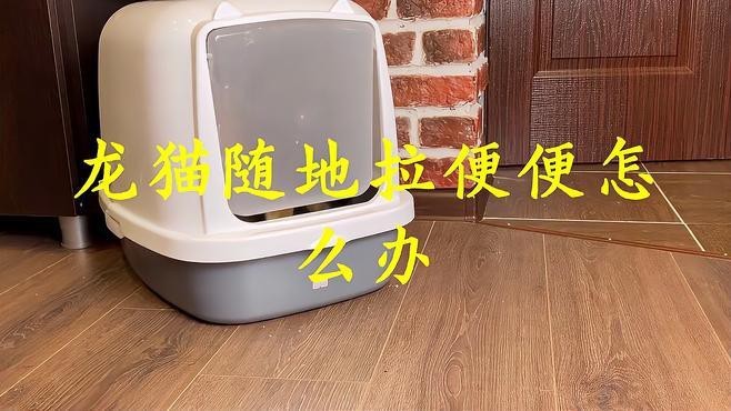 如何判斷龍貓是否準(zhǔn)備排便？【判斷龍貓是否準(zhǔn)備排便可從多方面觀察】