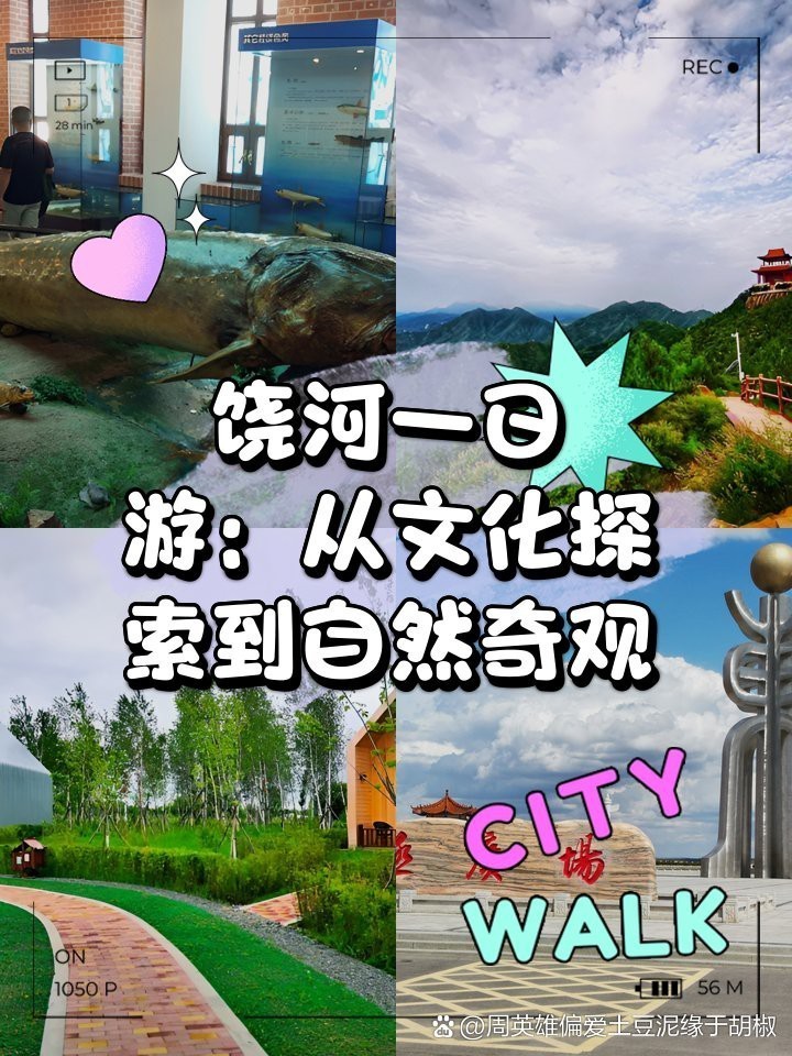 饒河龍魚店【饒河特色與龍魚文化的交融】