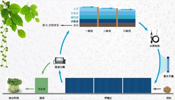 集裝箱養(yǎng)魚設備一套要多少錢【一套集裝箱養(yǎng)魚設備一套要多少錢】