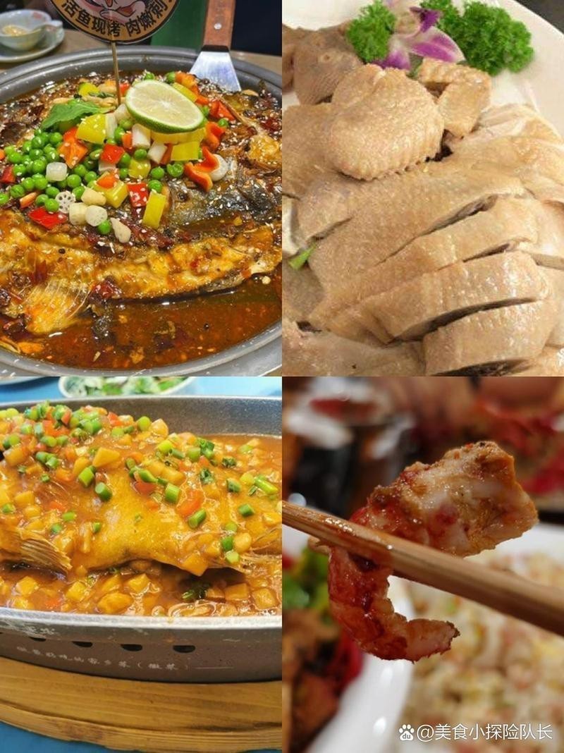 相山龍魚店【《相山龍魚店：水族世界的奇妙角落》】