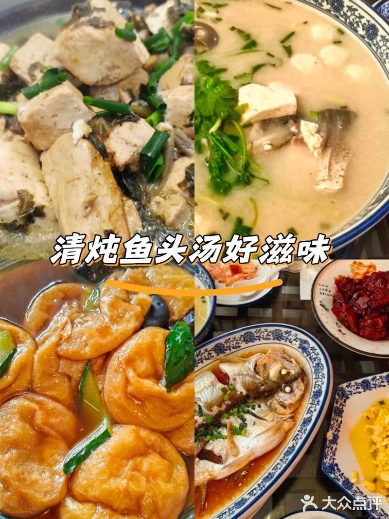馬山龍魚店【無錫馬山龍魚店：獨特水族魅力的所在，馬山龍魚店】