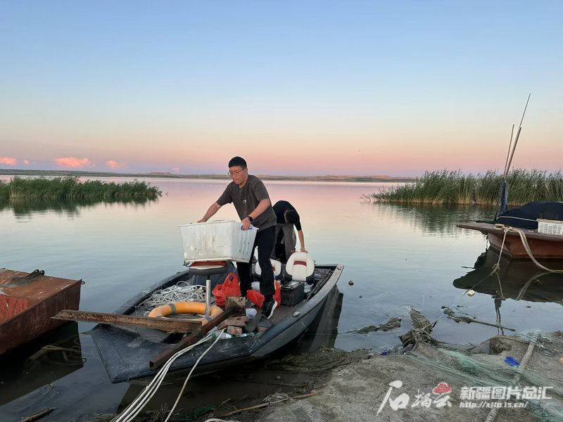 阿拉善左旗龍魚店【《阿拉善左旗龍魚店：水族世界的璀璨明珠》】