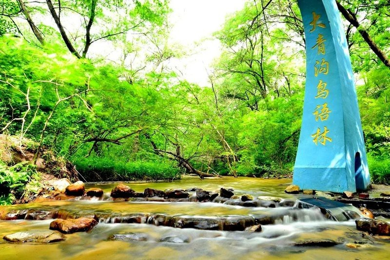 阿拉善左旗龍魚店【《阿拉善左旗龍魚店：水族世界的璀璨明珠》】