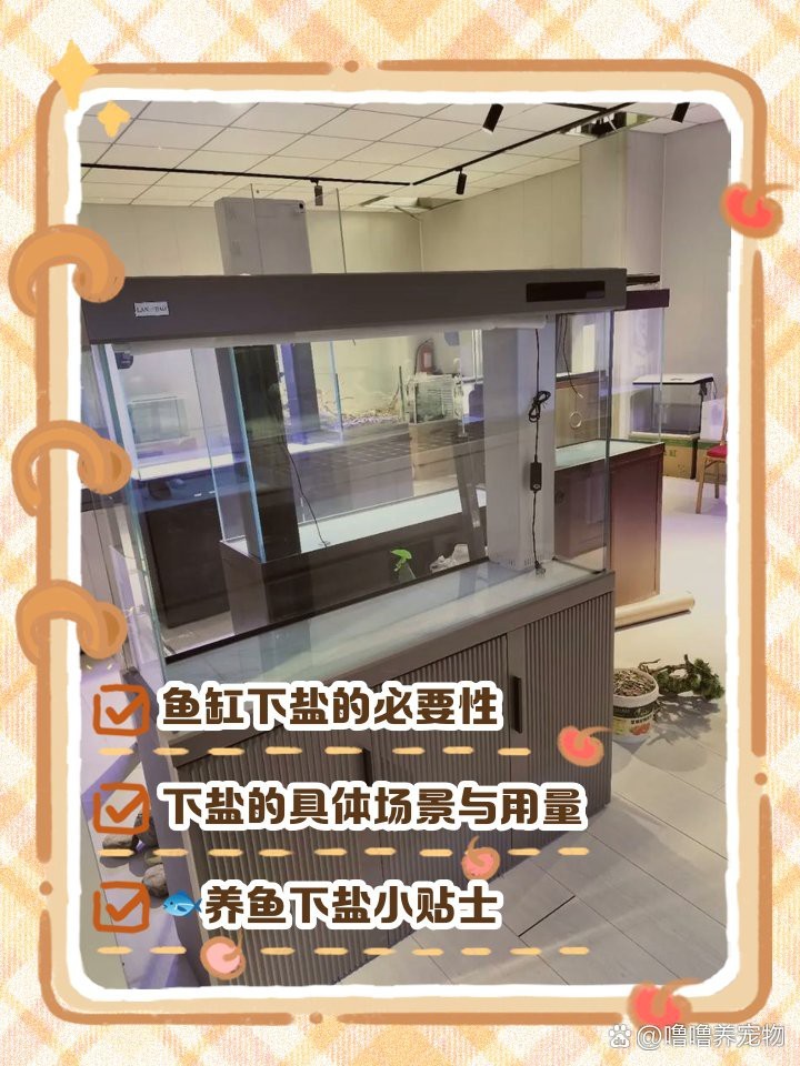 淡水魚放鹽的正確方法【淡水魚放鹽是提升魚肉風味與延長保鮮期的有效手段】