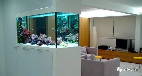淡水魚放鹽的正確方法【淡水魚放鹽是提升魚肉風味與延長保鮮期的有效手段】