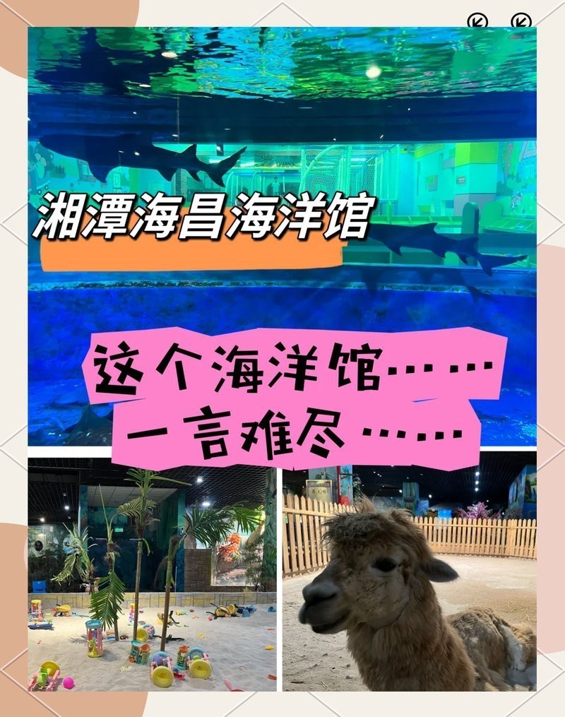 湘潭縣水族店【湘潭縣水族店的價(jià)格范圍】