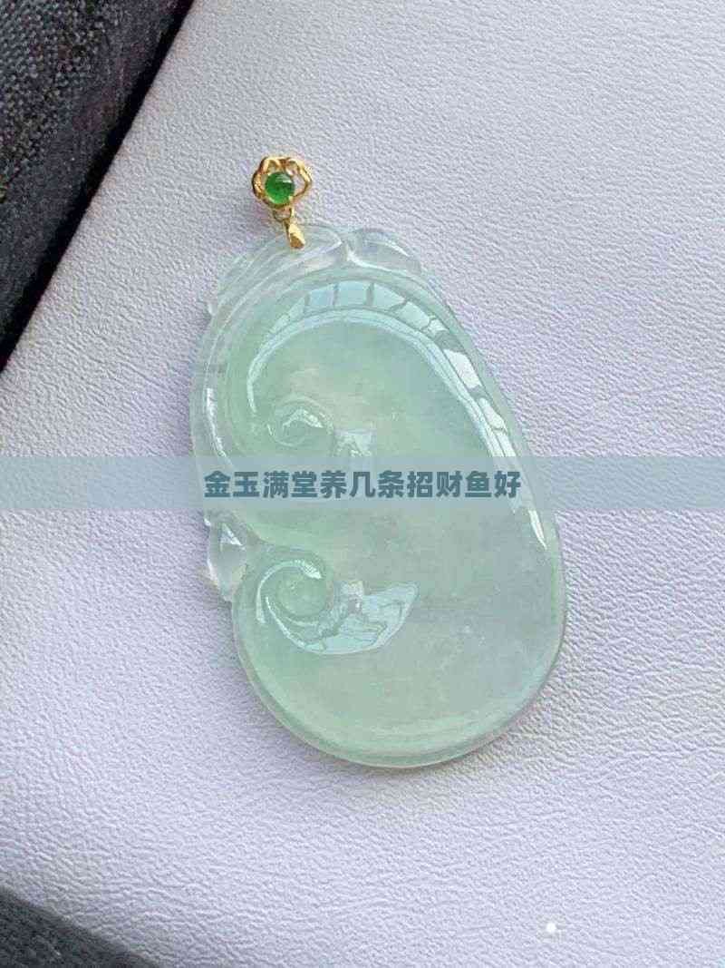 招財魚為什么只養(yǎng)一條【《招財魚為什么只養(yǎng)一條》】