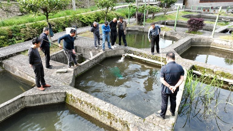 霍山龍魚店【霍山何龍魚行如何判斷霍山龍魚市場價格如何】