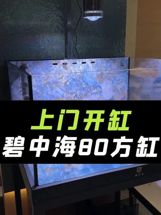 澤當(dāng)水族店【養(yǎng)泰獅澤當(dāng)水族店有哪些特色產(chǎn)品澤當(dāng)水族店具體地址】