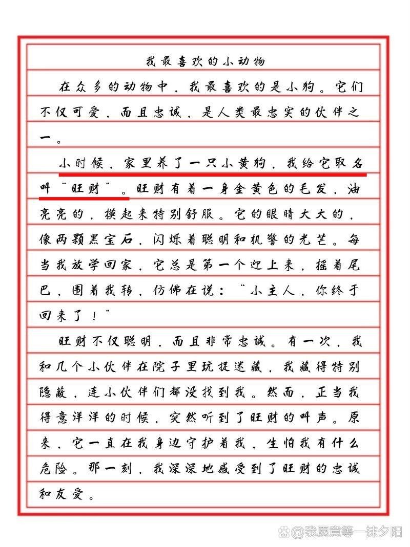 花鳥魚蟲寵物【它嬌小可愛的體態(tài)6,樂趣的多元世界】