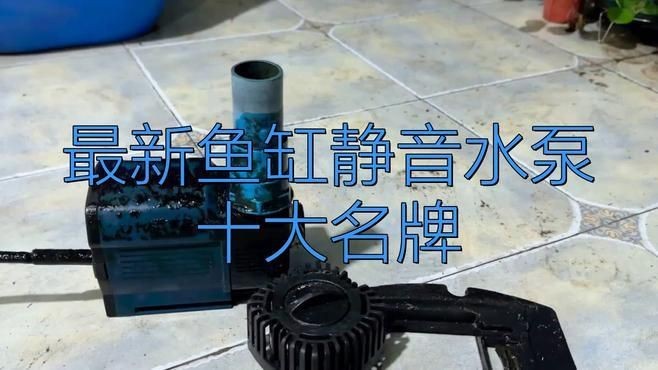 靜音水泵排名第一名【《靜音水泵排名第一名：卓越品質與性能的典范》**】
