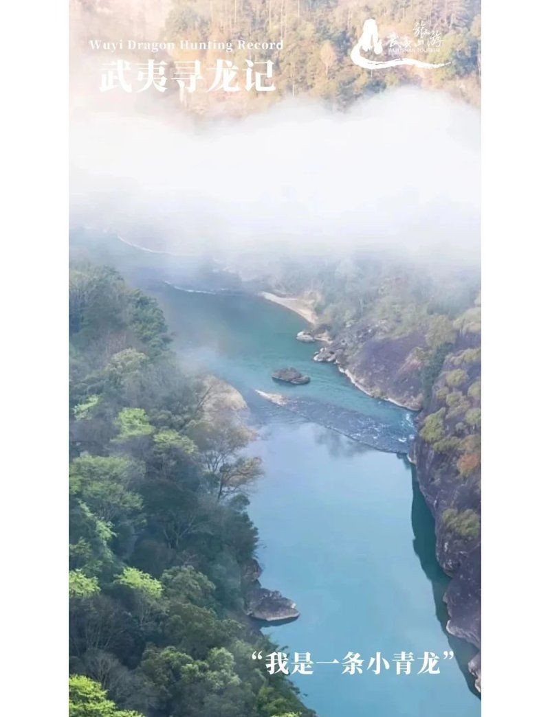 龍魚送人有忌諱嗎【武夷山“龍”文化大揭秘龍魚贈送時需要連缸送嗎】 龍魚百科 第10張 龍魚送人有忌諱嗎【武夷山“龍”文化大揭秘龍魚贈送時需要連缸送嗎】 龍魚送人有忌諱嗎【武夷山“龍”文化大揭秘龍魚贈送時需要連缸送嗎】 龍魚百科 第10張