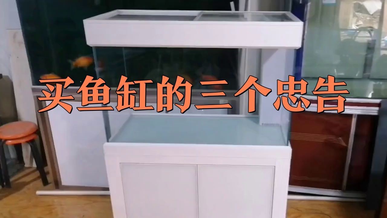 買魚缸有什么需要注意的【養魚不踩坑:從選缸到擺缸全攻略】