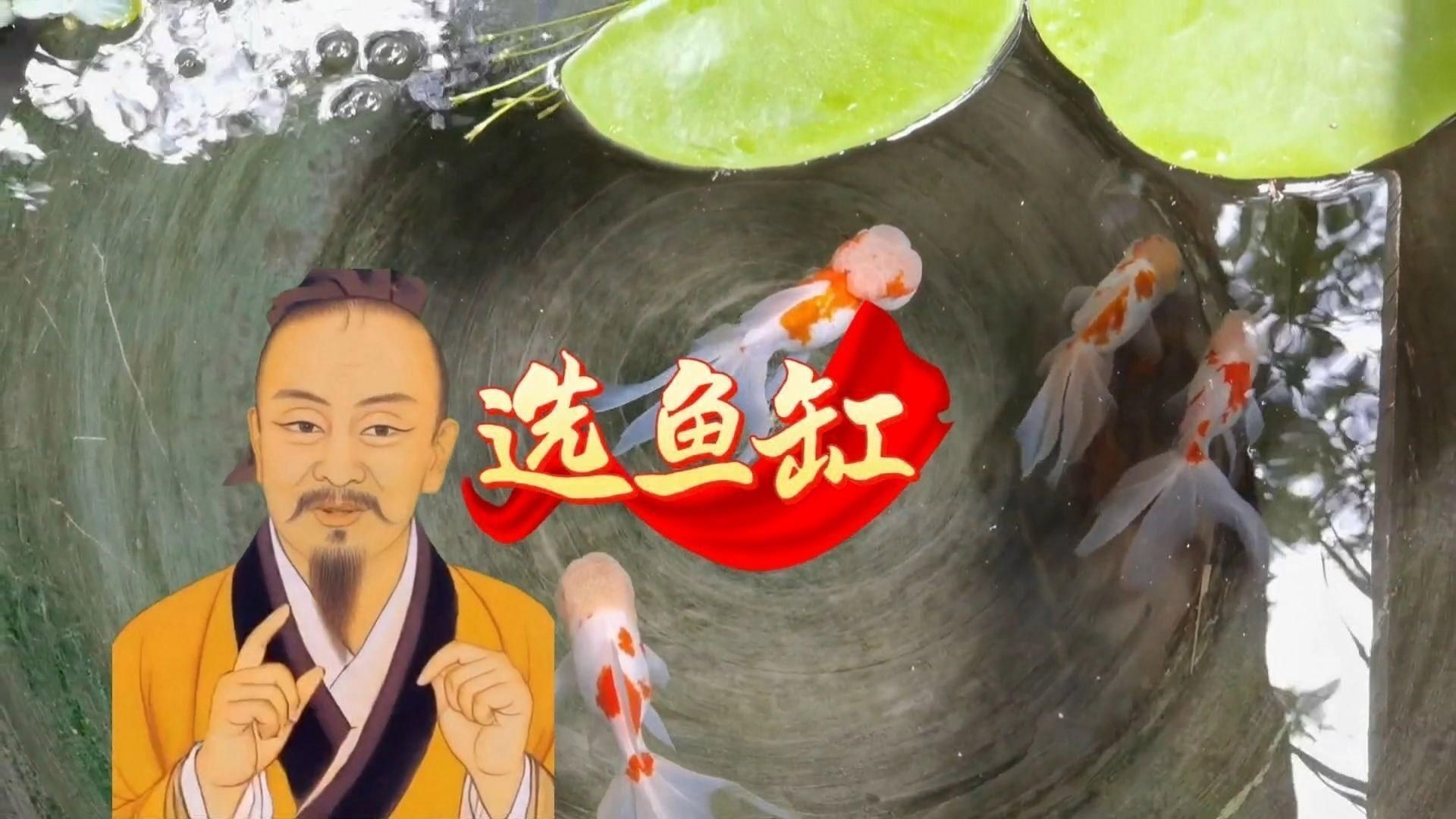 買魚缸有什么需要注意的【養魚不踩坑:從選缸到擺缸全攻略】