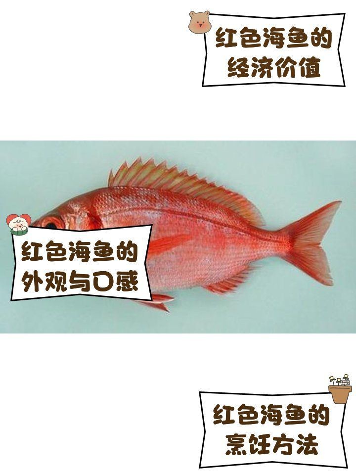紅色魚十大排名【十大紅色名貴魚種排行榜，錦鯉的十大品種排行榜，你養了嗎】