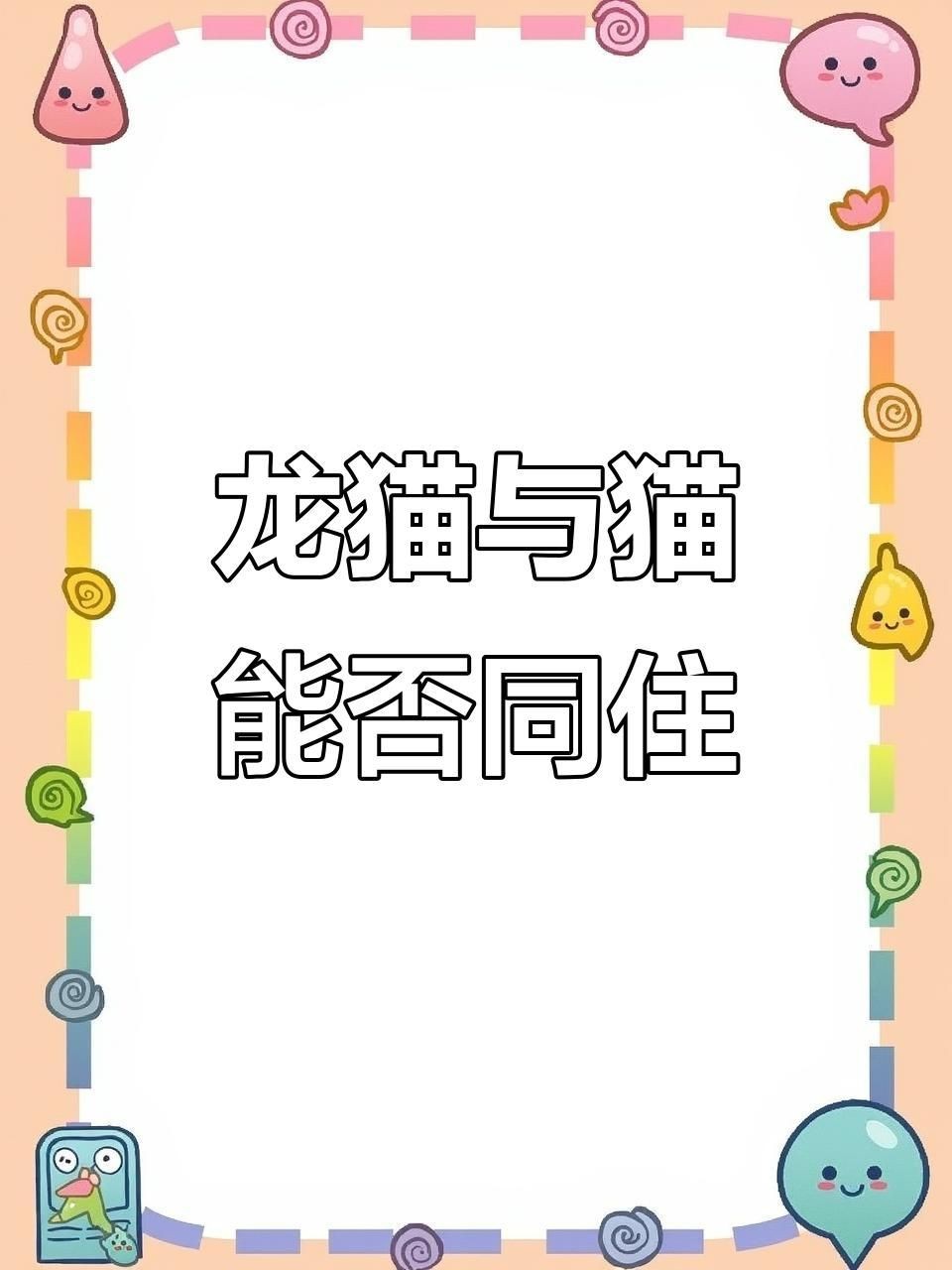 龍貓和貓可以在一起玩嗎【龍貓和貓可以一起養嗎】