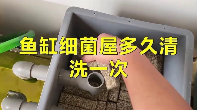 細菌屋多久清洗一次合適？【細菌屋多久清洗一次】