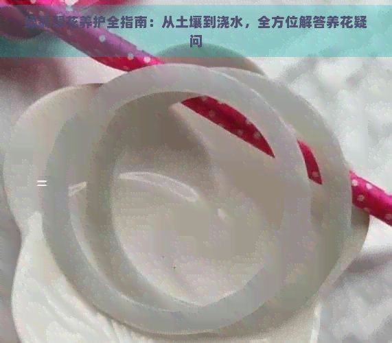 綠翡翠的養殖方法和注意事項【綠翡翠養殖方法和注意事項】