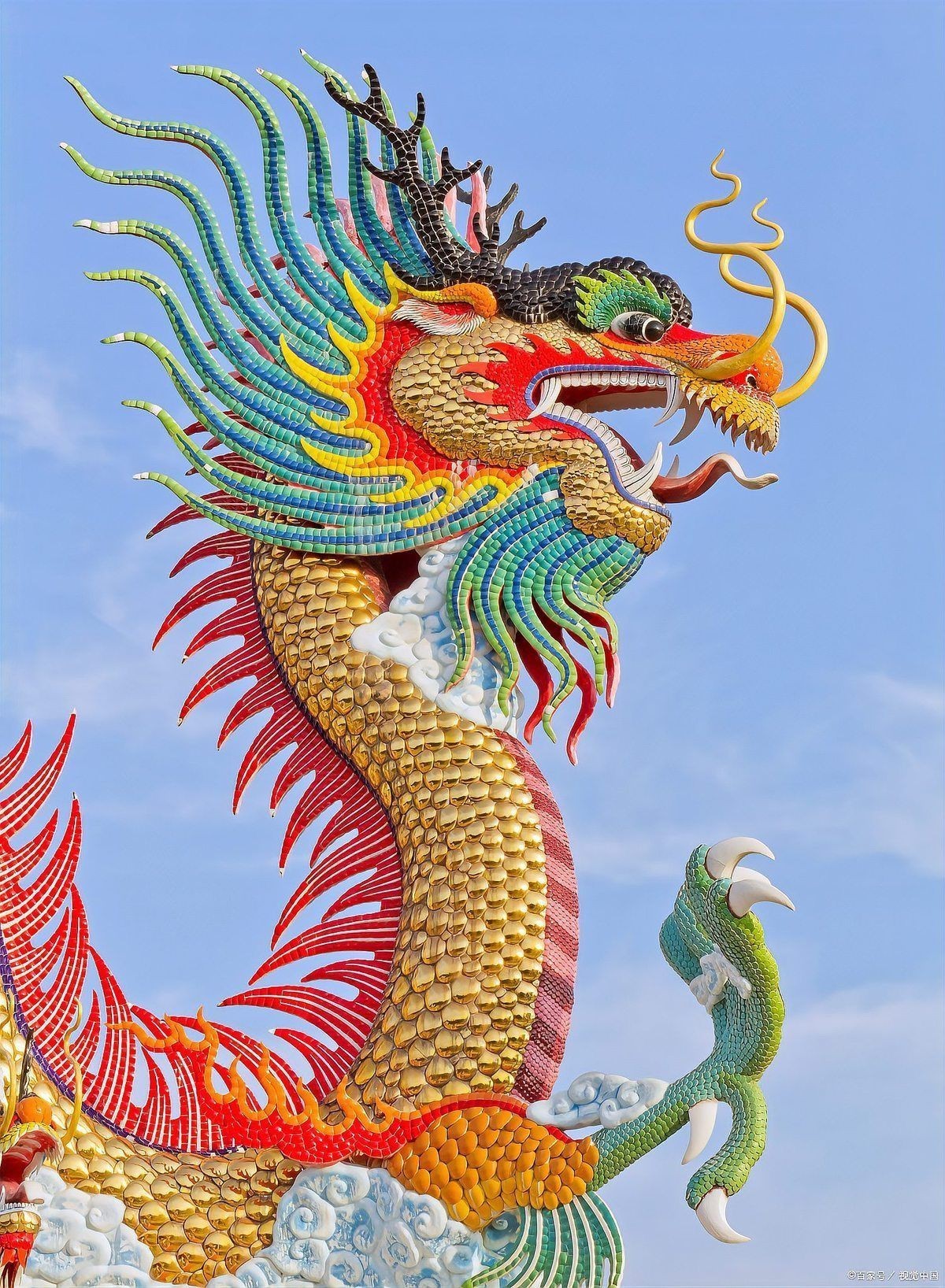龍有兩根,淺淺又體弱【“龍有兩根，淺淺又體弱”這一標題看似充滿奇幻與神秘色彩】