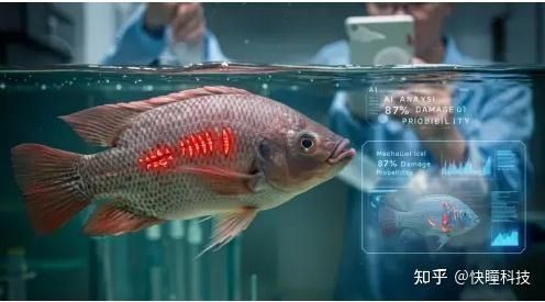 海洋生物識別掃一掃【海洋生物識別掃一掃技術】 海洋生物識別掃一掃【海洋生物識別掃一掃技術】 龍魚論壇 第15張
