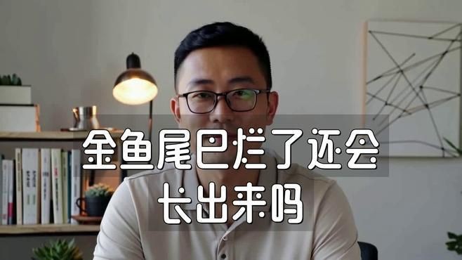 駐馬店魚缸批發市場在哪里有魚缸批發市場在哪里有賣魚的地方，駐馬店魚缸批發市場