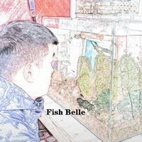 金塵雷龍魚怎么養(yǎng)【金塵雷龍魚的飼養(yǎng)方法】