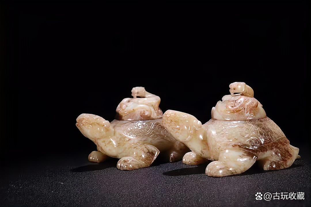 能推薦一些專業的龍龜圖片圖庫嗎？【龍龜專業圖片圖庫推薦】