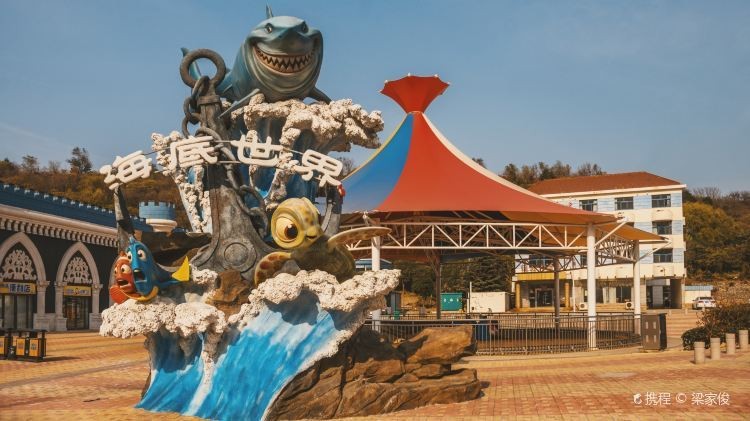 連云水族店【連云區(qū)哪家水族館口碑最好】