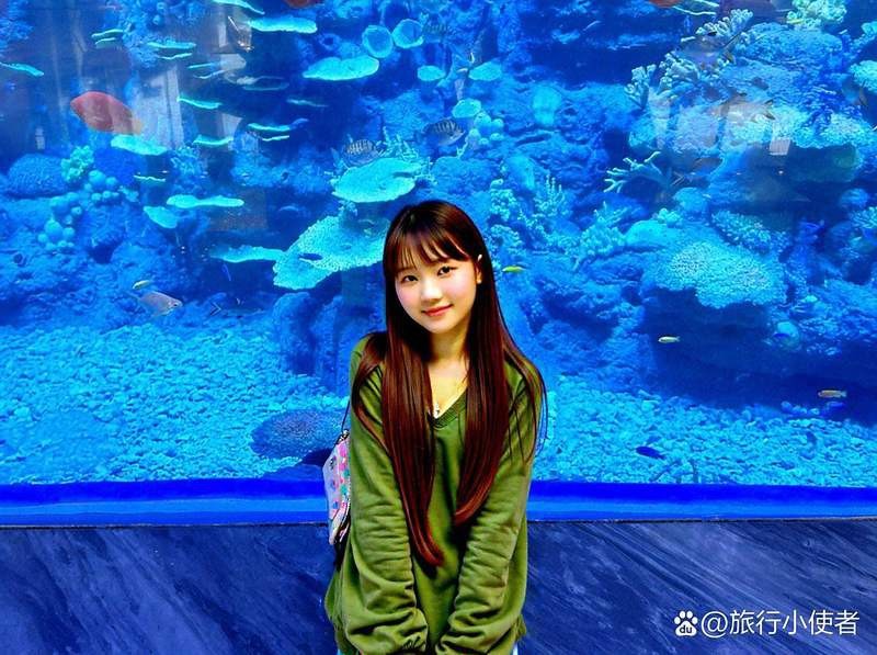 紫金水族店【探尋水下世界的奇妙小店】