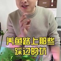 洛川水族店【《洛川水族店》圍繞一家神秘的水族店展開】